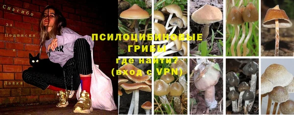 марки lsd Беломорск