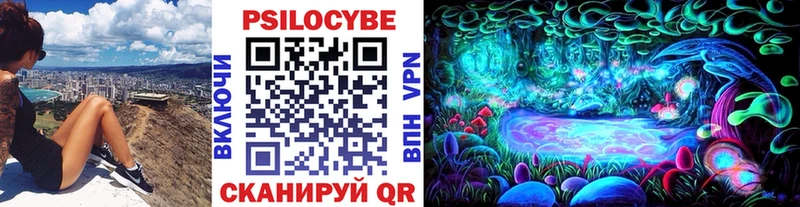 Псилоцибиновые грибы мухоморы  Купить закладки  Дзержинский 
